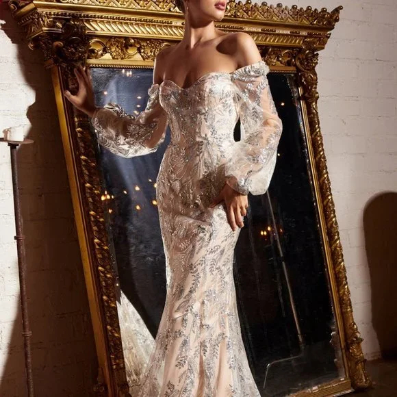 open lace back dress Jovani 42206 - Long Sequin, Sheer Sheath Dress - Strapless, Beaded, Sheer Corset Bodice, Sweep Train 2 / Silver/Nude
